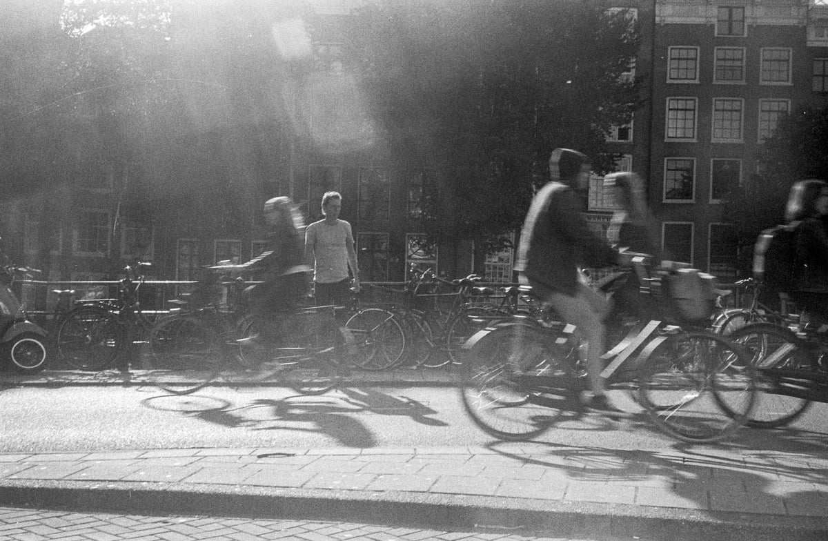 Plain Bicycle - Bicycle Garden