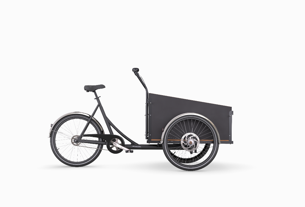 2 or 3 Wheel Modern Bakfiets Rental Cargo Bike