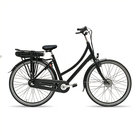 E-Dutch Bike Rental
