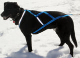 AKKO X-Back Harness with Reflective tape