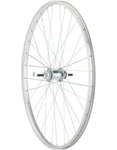 Rear Wheel - 700C (622 mm) - Aluminum - Single Wall - Coaster Brake